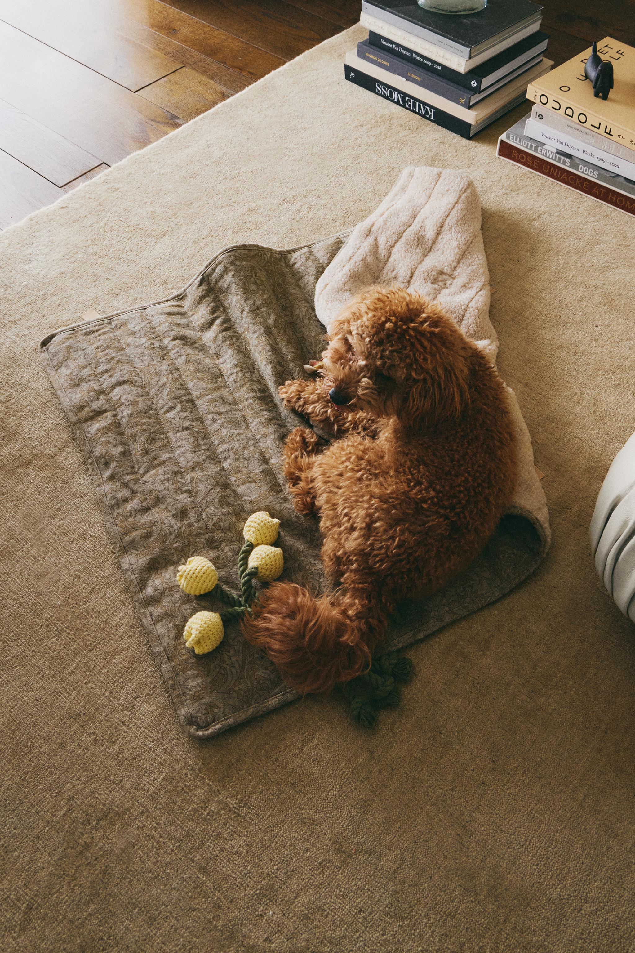 MORRIS & CO. ROLL-UP PET FLOOR BLANKET